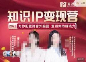 鹿盈盈-知识IP变现实操营,普通人可复制的知识产品落地实操课,带你打通知识IP变现底层逻辑-599资源坊