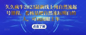 久久疯牛2023最新线上纯自然流起号课程,老杨是把自然流玩明白的人,可以闭眼上车-599资源坊