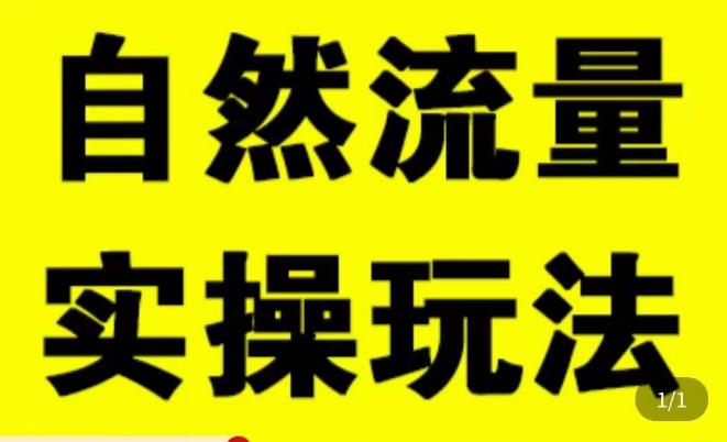 拼多多自然流量天花板，拼多多自然流的实操玩法，自然流量是怎么来的，如何开车带来自然流等知识-599资源坊