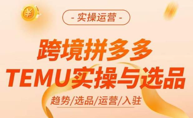 跨境拼多多TEMU实操与选品，​掌握平台运营方法技巧，选品避坑12条标准，爆款的底层思路等-599资源坊