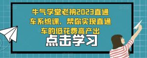 牛气学堂老衲2023直通车系统课,帮你实现直通车的低花费高产出-599资源坊
