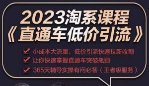 2023直通车低价引流玩法课程，小成本大流量，低价引流快速拉新收割，让你快速掌握直通车突破瓶颈-599资源坊