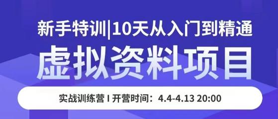 虚拟资料项目新手特训，10天从入门到精通，保姆级实操教学-599资源坊