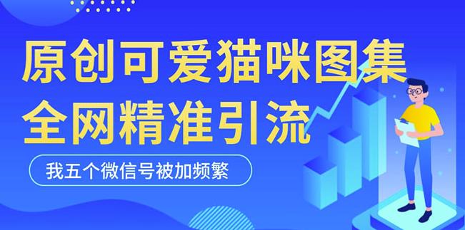 黑科技纯原创可爱猫咪图片，全网精准引流，实操5个VX号被加频繁-599资源坊