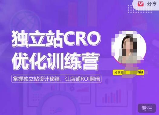 独立站CRO优化训练营，掌握独立站设计秘籍，打造高转化的独立站，让店铺ROI翻倍-599资源坊