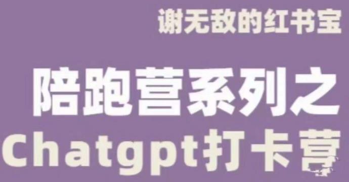 谢无敌ChatGPT打卡营，教你更好地使用ChatGPT来提高工作效率-599资源坊