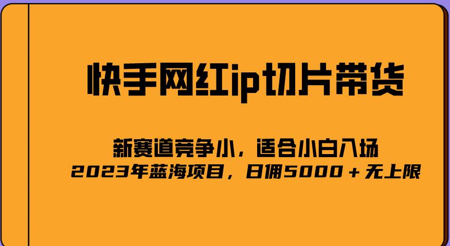 2023爆火的快手网红IP切片，号称日佣5000＋的蓝海项目，二驴的独家授权-599资源坊