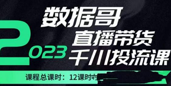 数据哥2023直播电商巨量千川付费投流实操课，快速掌握直播带货运营投放策略-599资源坊