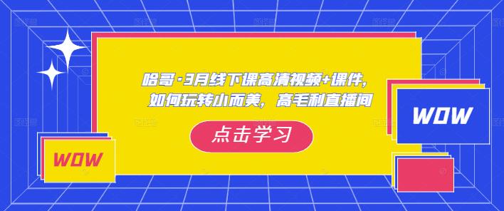 哈哥·3月线下实操课高清视频+课件，如何玩转小而美，高毛利直播间-599资源坊