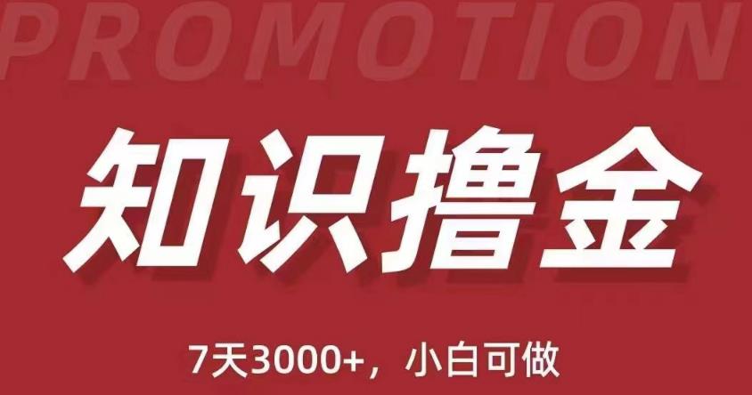 抖音知识撸金项目：简单粗暴日入1000+执行力强当天见收益(教程+资料)-599资源坊