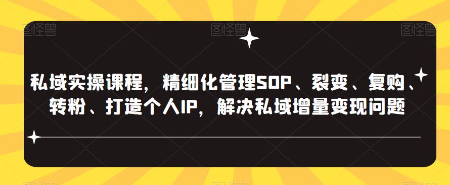 私域实操课程，精细化管理SOP、裂变、复购、转粉、打造个人IP，解决私域增量变现问题-599资源坊