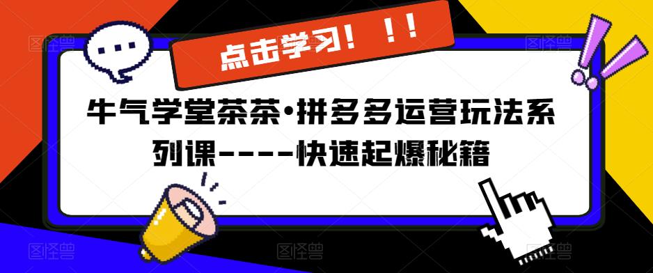 牛气学堂茶茶•拼多多运营玩法系列课—-快速起爆秘籍【更新】-599资源坊