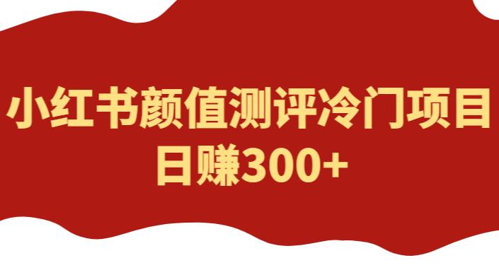 外面1980的项目，小红书颜值测评冷门项目，日赚300+【揭秘】-599资源坊