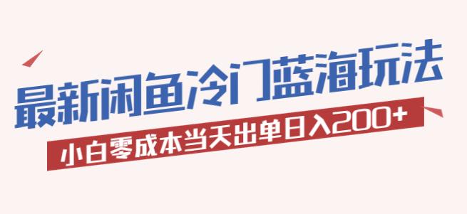 2023最新闲鱼冷门蓝海玩法，小白零成本当天出单日入200+【揭秘】-599资源坊