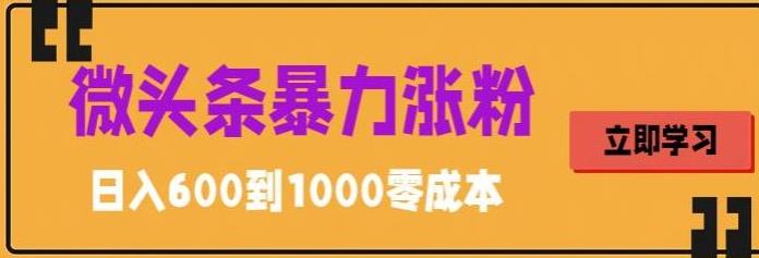 微头条暴力涨粉技巧搬运文案就能涨几万粉丝，简单0成本，日赚600【揭秘】-599资源坊