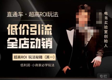 电商冰可乐·直通车·《低价引流·全店动销》，直通车·超高ROI玩法（其一）全店动销必学玩法-599资源坊