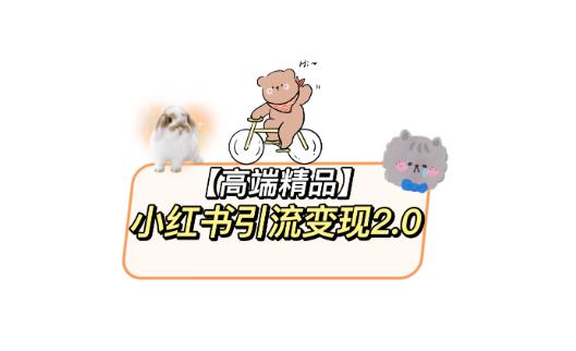 小红书最新引流变现教程，全网最新最详细的视频教程以及素材-599资源坊