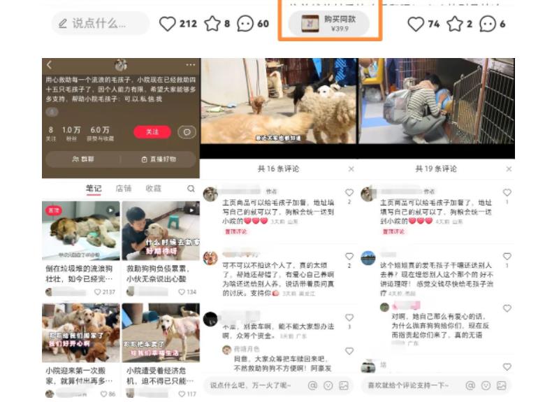 小红书蓝海类赛道：小动物打赏与购买变现副业项目，一条龙玩法分享给你！-599资源坊