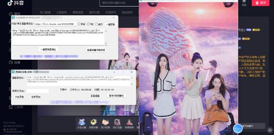 最新电脑版抖音/快手/B站直播源获取+直播间实时录制+直播转播软件【全套软件+详细教程】-599资源坊