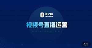 那个腾·视频号直播运营,视频号直播推流逻辑/流量渠道解析/直播起号攻略/直播实操技巧-599资源坊