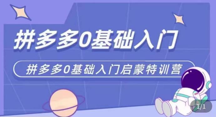 拼多多运营0-1实操特训营，拼多多0基础入门，从基础到进阶的可实操玩法-599资源坊
