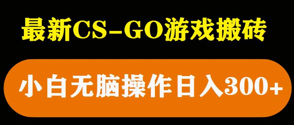 最新csgo游戏搬砖游戏，无需挂机小白无脑也能日入300+-599资源坊