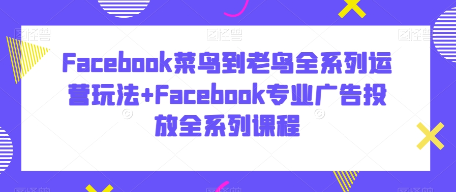 Facebook菜鸟到老鸟全系列运营玩法+Facebook专业广告投放全系列课程-599资源坊