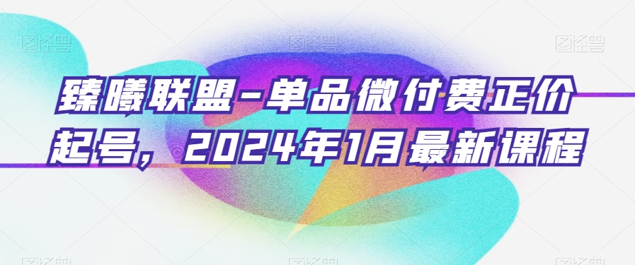 臻曦联盟-单品微付费正价起号，2024年1月最新课程-599资源坊