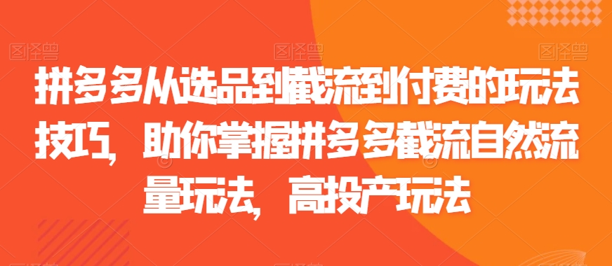 拼多多从选品到截流到付费的玩法技巧，助你掌握拼多多截流自然流量玩法，高投产玩法-599资源坊