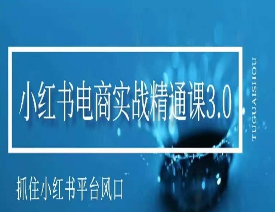 小红书电商实战精通课3.0，抓住小红书平台的风口，不错过有一个赚钱的机会-599资源坊