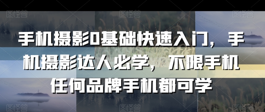 手机摄影0基础快速入门，手机摄影达人必学，不限手机任何品牌手机都可学-599资源坊