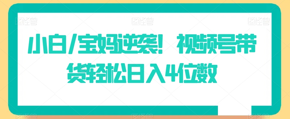 小白/宝妈逆袭！视频号带货轻松日入4位数【揭秘】-599资源坊
