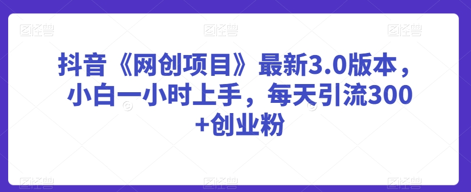 抖音《网创项目》最新3.0版本，小白一小时上手，每天引流300+创业粉【揭秘】-599资源坊