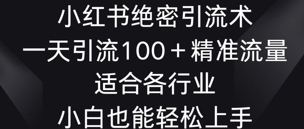 小红书绝密引流术，一天引流100+精准流量，适合各个行业，小白也能轻松上手【揭秘】-599资源坊