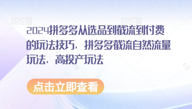 2024拼多多从选品到截流到付费的玩法技巧，拼多多截流自然流量玩法，高投产玩法-599资源坊