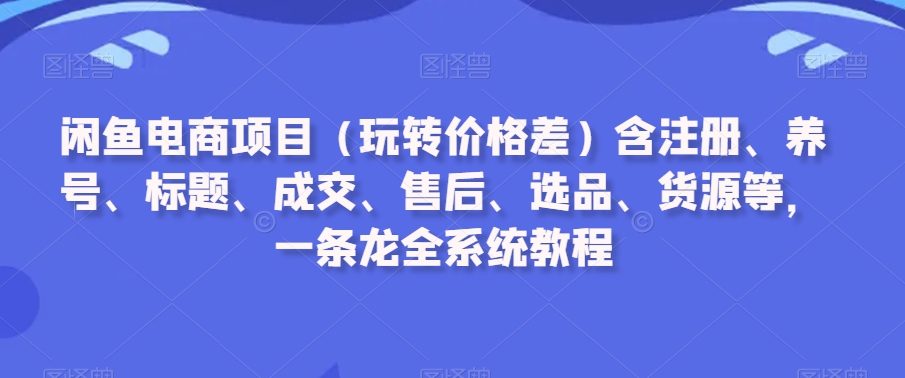 闲鱼电商项目（玩转价格差）含注册、养号、标题、成交、售后、选品、货源等，一条龙全系统教程-599资源坊