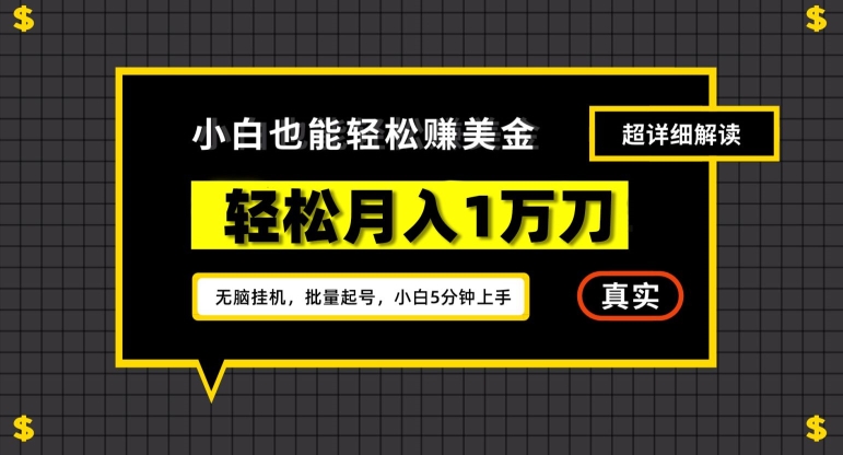 谷歌看广告撸美金2.0，无脑挂机，多号操作，月入1万刀【揭秘】-599资源坊