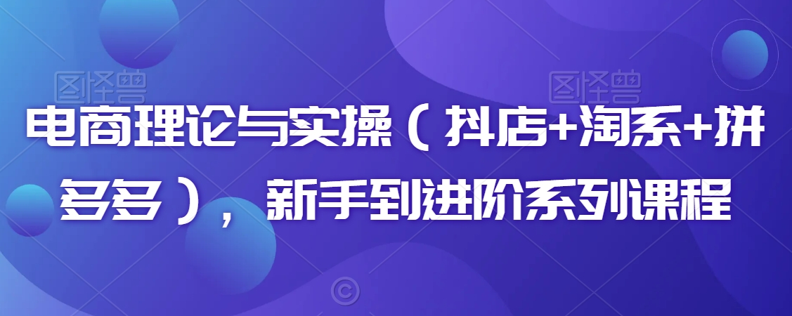 电商理论与实操（抖店+淘系+拼多多），新手到进阶系列课程-599资源坊