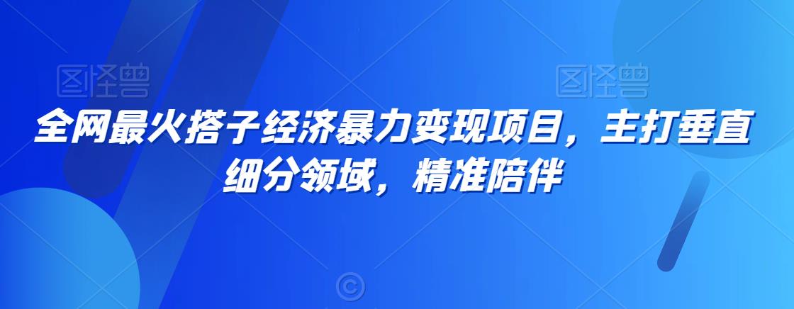 全网最火搭子经济暴力变现项目，主打垂直细分领域，精准陪伴【揭秘】-599资源坊