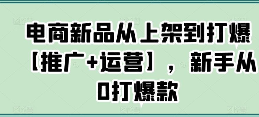 电商新品从上架到打爆【推广+运营】，新手从0打爆款-599资源坊