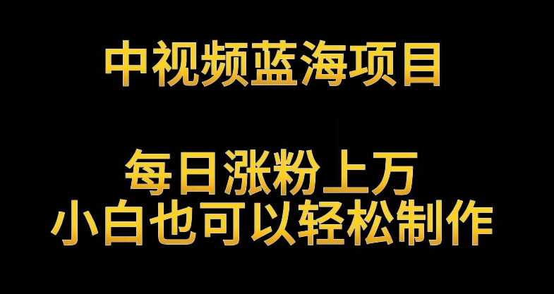 中视频蓝海项目，解读英雄人物生平，每日涨粉上万，小白也可以轻松制作，月入过万不是梦【揭秘】-599资源坊
