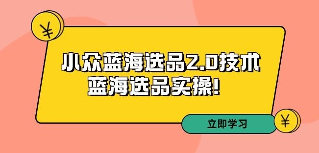 拼多多培训第33期：小众蓝海选品2.0技术-蓝海选品实操！-599资源坊