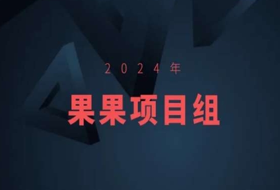 2024年果果项目组项目合集-果果最新项目-599资源坊