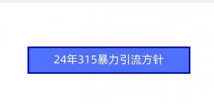 24年315暴力引流方针-599资源坊