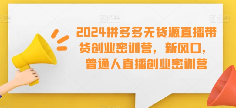 2024拼多多无货源直播带货创业密训营，新风口，普通人直播创业密训营-599资源坊