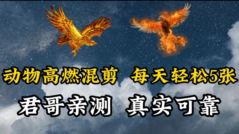 动物超燃混剪，每天轻松5张，剪辑简单大家爱看【揭秘】-599资源坊