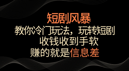 短剧风暴，教你冷门玩法，玩转短剧，收钱收到手软【揭秘】-599资源坊