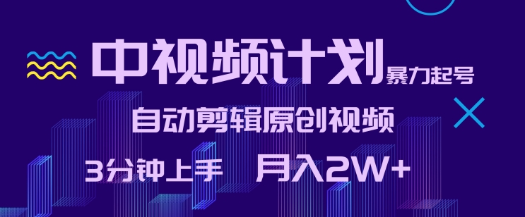 中视频计划暴力起号，自动剪辑原创视频，3分钟上手，月入2W+【揭秘】-599资源坊