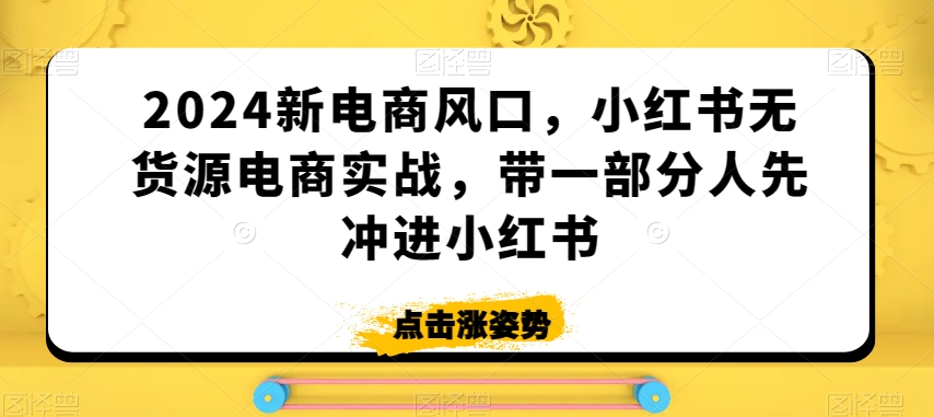 2024新电商风口，小红书无货源电商实战，带一部分人先冲进小红书-599资源坊