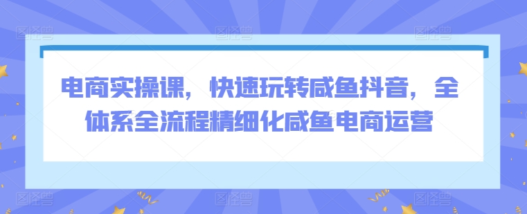 电商实操课，快速玩转咸鱼抖音，全体系全流程精细化咸鱼电商运营-599资源坊